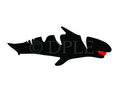 "Shark" - Devin P.L. Edwards