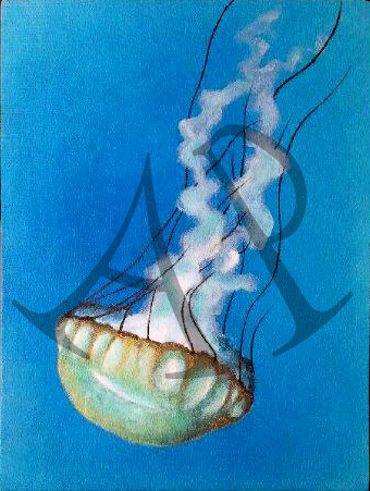 "Jellyfish" - Ashley Pleasant