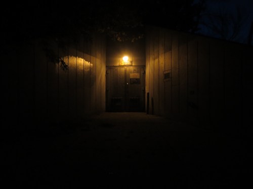 "Emergency" - Sarah Y. Varnam